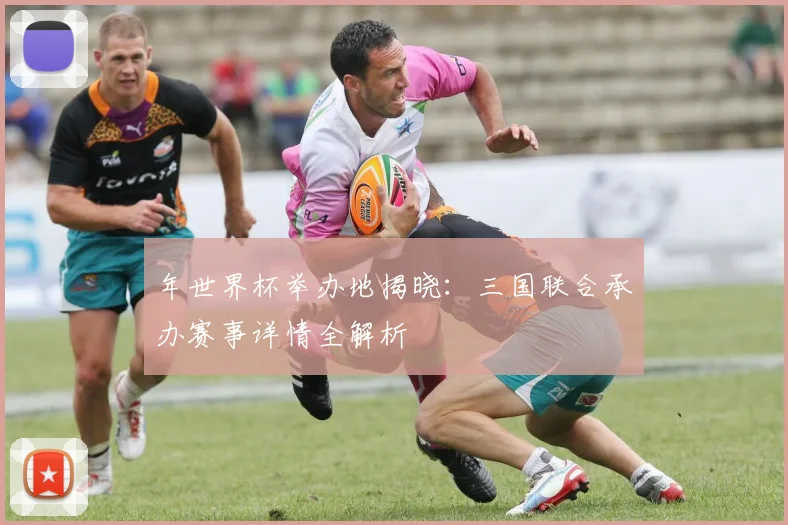 年世界杯举办地揭晓：三国联合承办赛事详情全解析