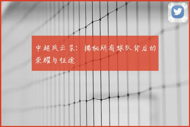 中超风云录：揭秘所有球队背后的荣耀与征途